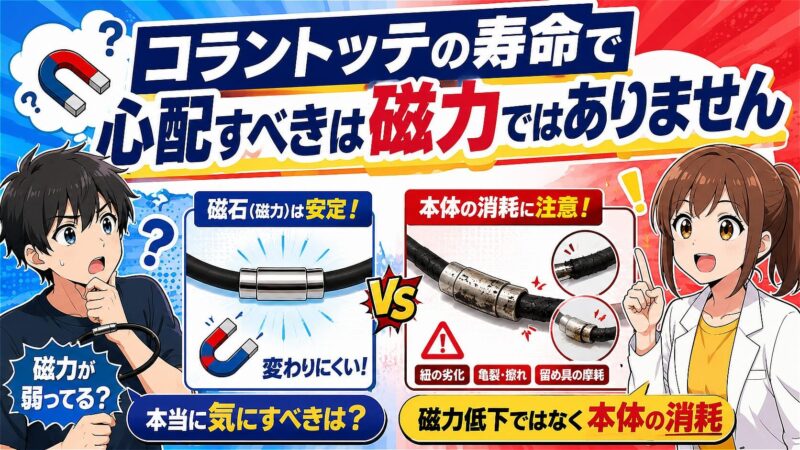 コラントッテ 寿命