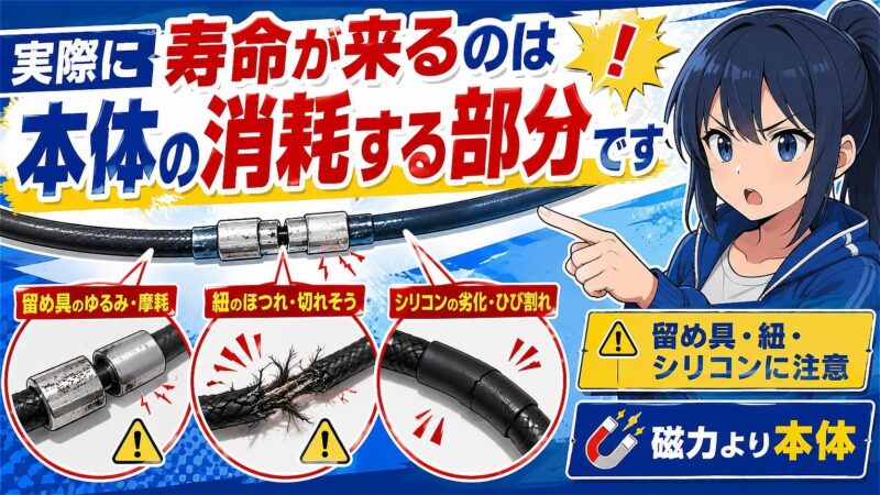コラントッテ 寿命